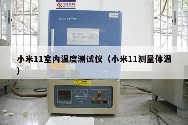 小米11室内温度测试仪（小米11测量体温）