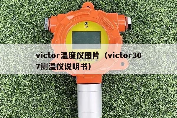 victor温度仪图片（victor307测温仪说明书）